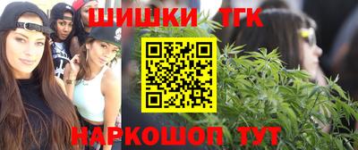 мдпв Обь