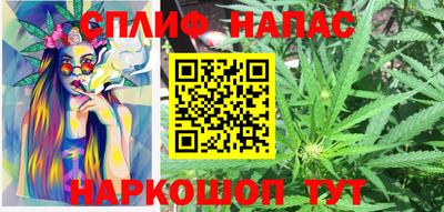 мдпв Обь