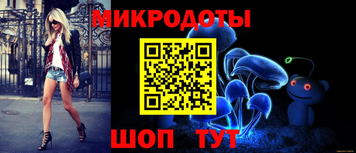 Псилоцибиновые грибы Cubensis Чернушка