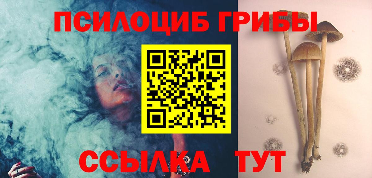 Чернушка  Псилоцибиновые грибы прущие грибы  где можно купить   Вход с VPN 