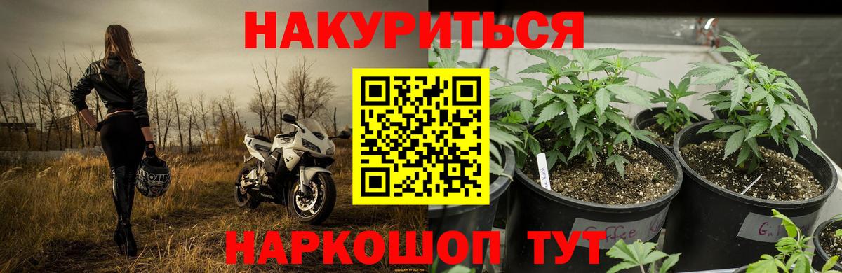 Чернушка  Шишки марихуана планчик  Вход с VPN  Бошки марихуана THC 21%  Шишки марихуана VHQ 